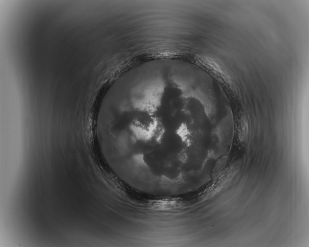 X0000096990366200802081432