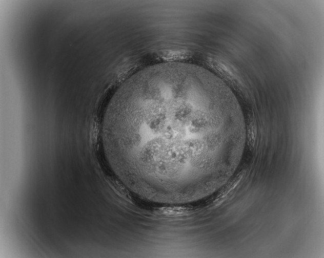 X0000096990367200802081433