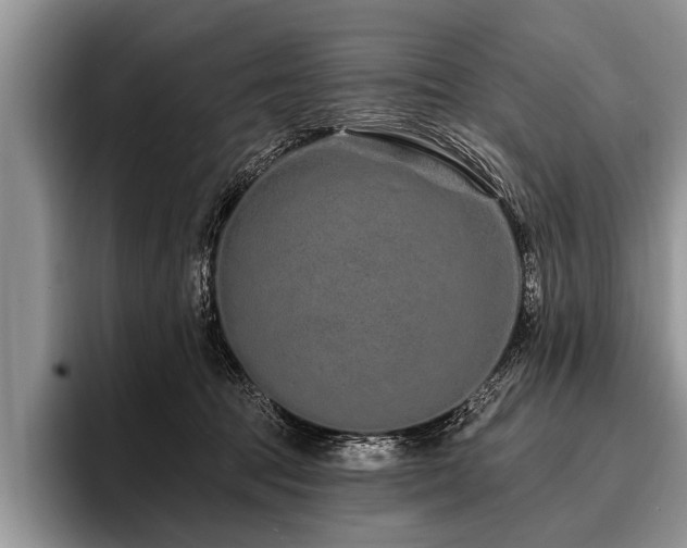 X0000096990369200802081433