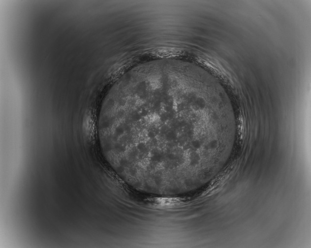 X0000096990371200802081433