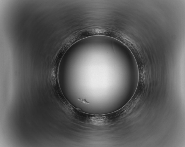 X0000096990373200802081433