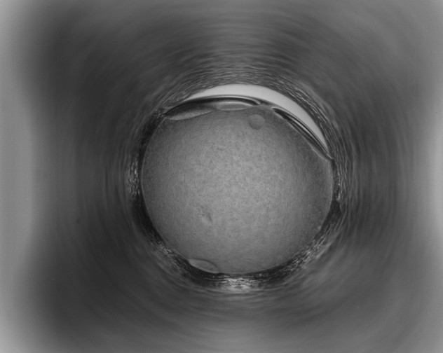 X0000096990376200802081433