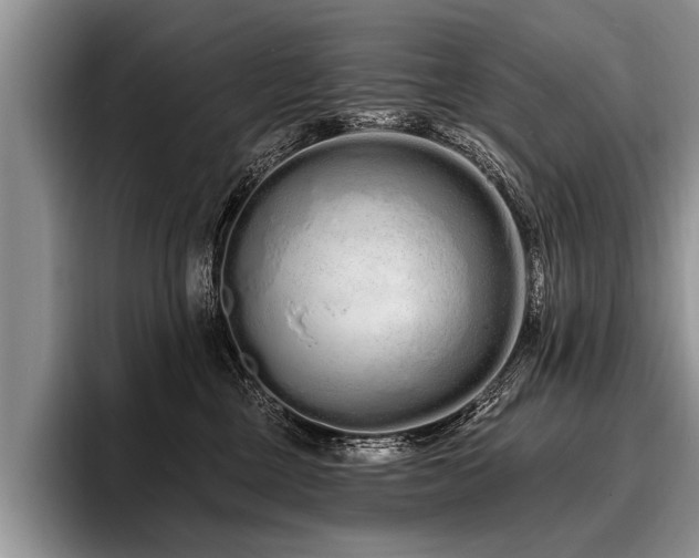 X0000096990377200802081433