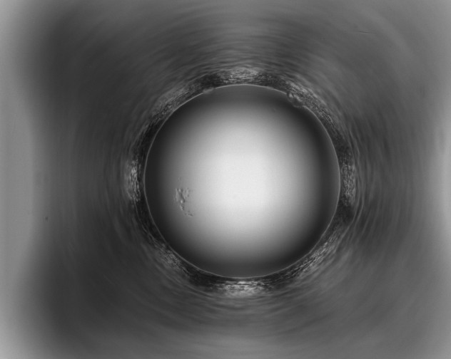 X0000096990378200802081433