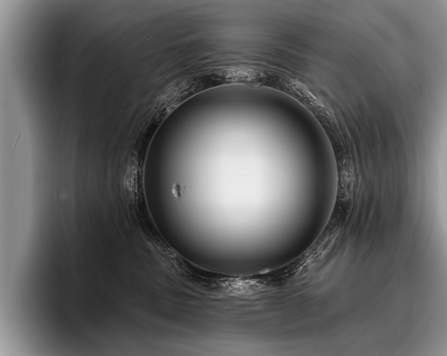 X0000096990379200802081433