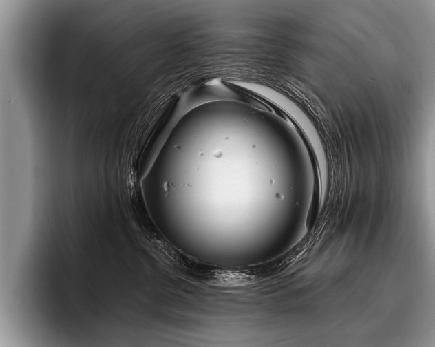 X0000096990380200802081433