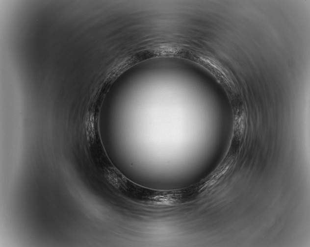 X0000096990381200802081433