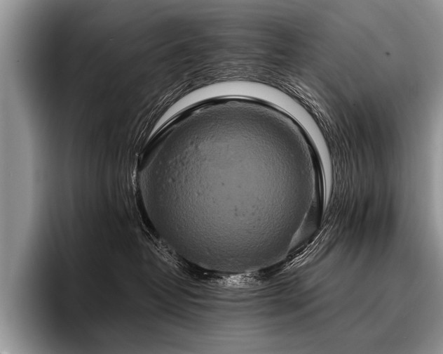 X0000096990382200802081433