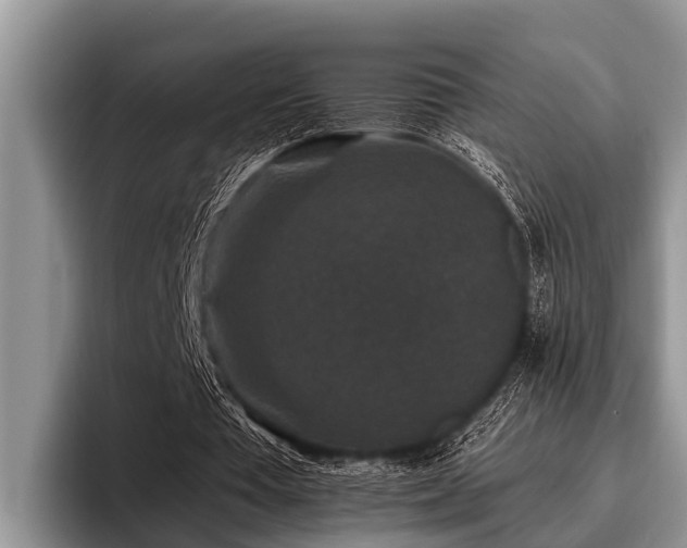 X0000096990385200802081432