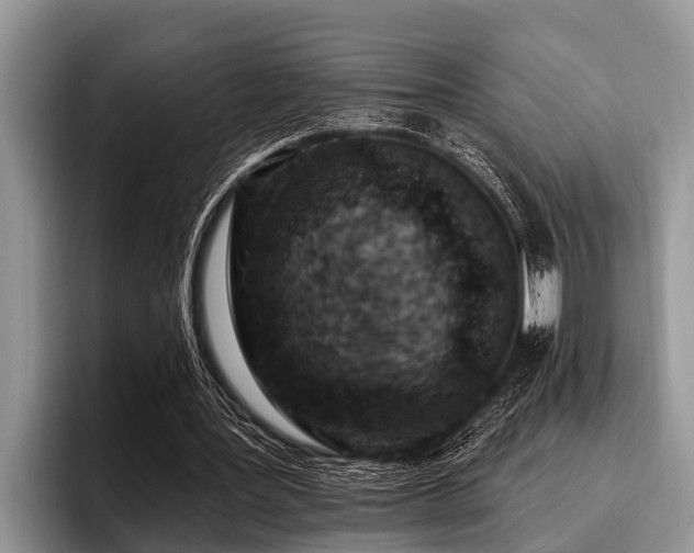 X0000096990387200802081432