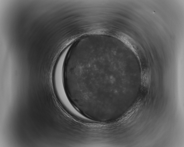 X0000096990389200802081432