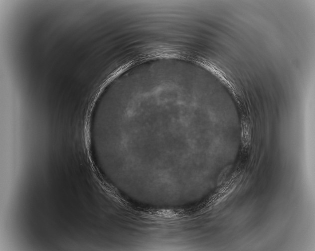 X0000096990390200802081432