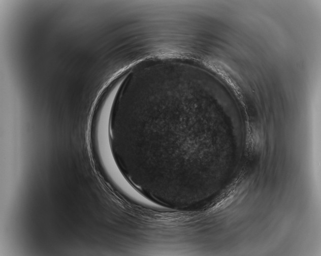 X0000096990391200802081432