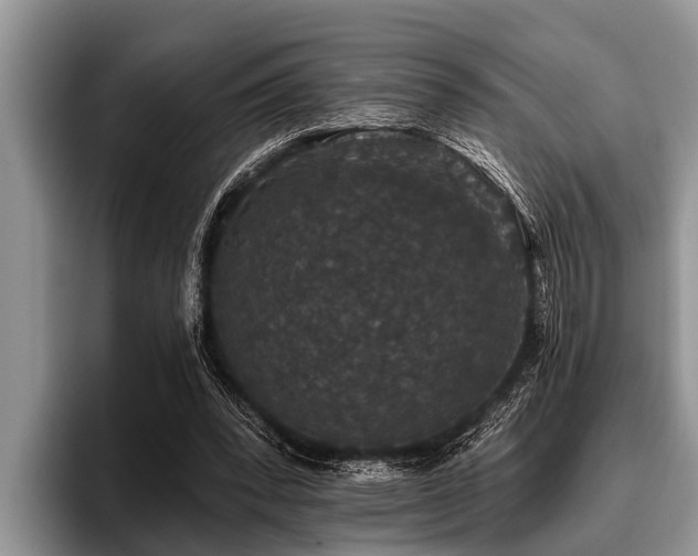 X0000096990392200802081432