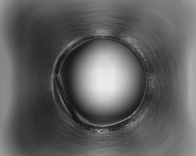X0000096990395200802081432
