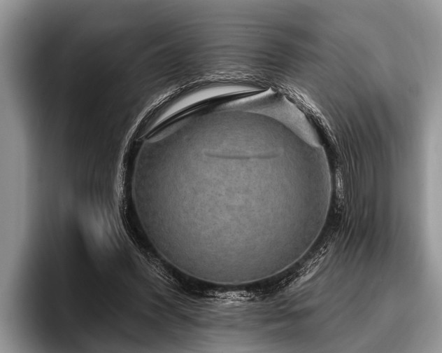 X0000096990396200802081432