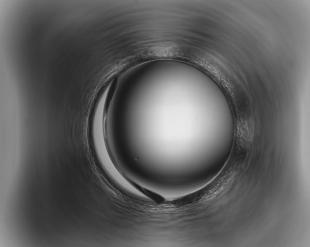 X0000096990397200802081432