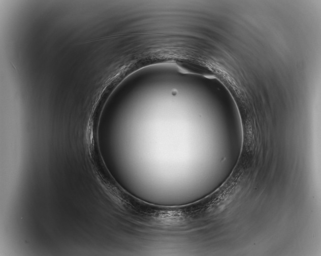X0000096990398200802081432