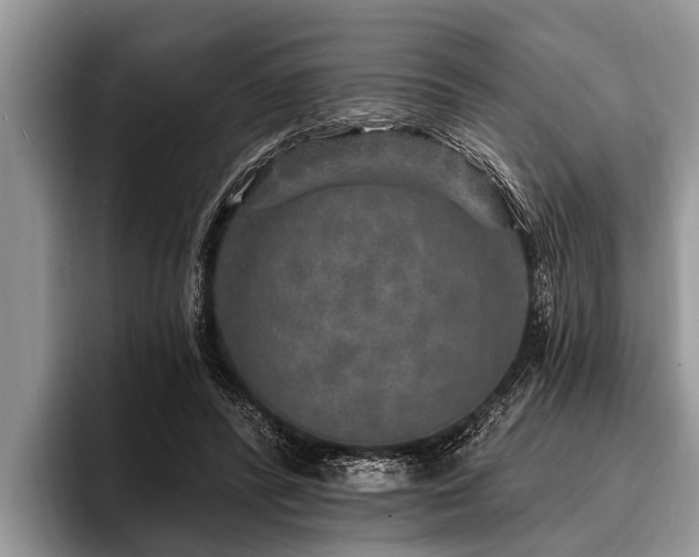 X0000096990400200802081432