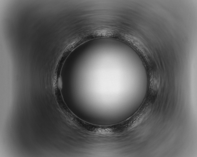 X0000096990403200802081432
