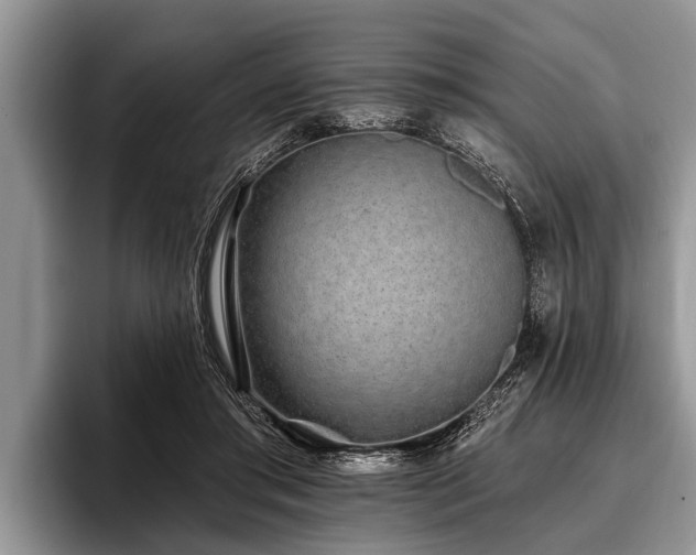 X0000096990405200802081432