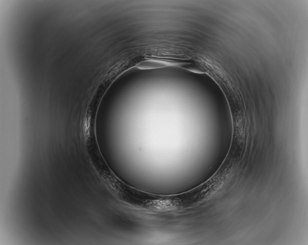 X0000096990406200802081432