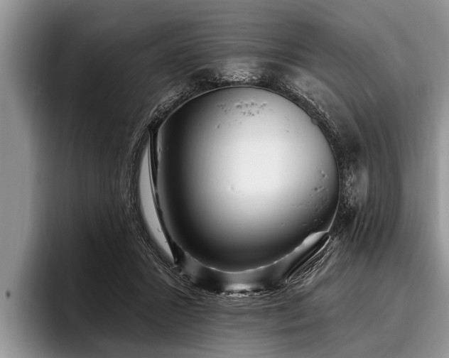 X0000096990407200802081432