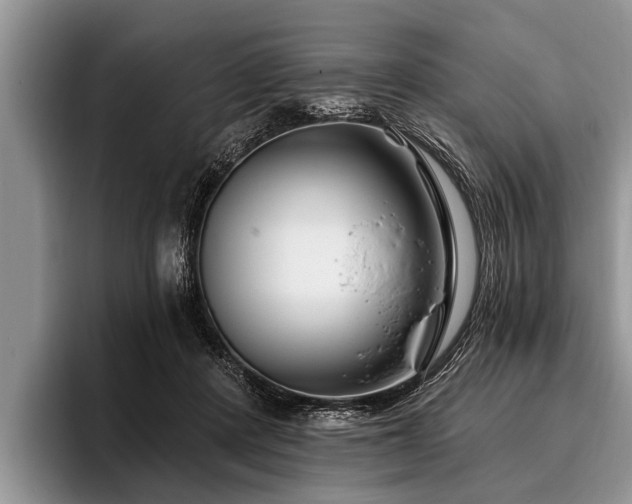 X0000096990408200802081432