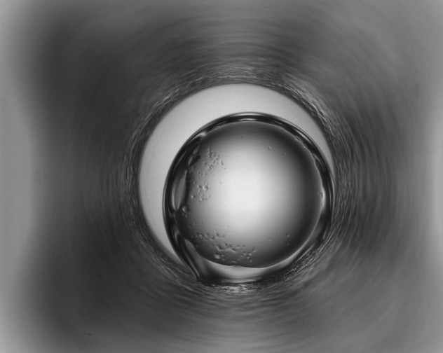 X0000096990411200802081432