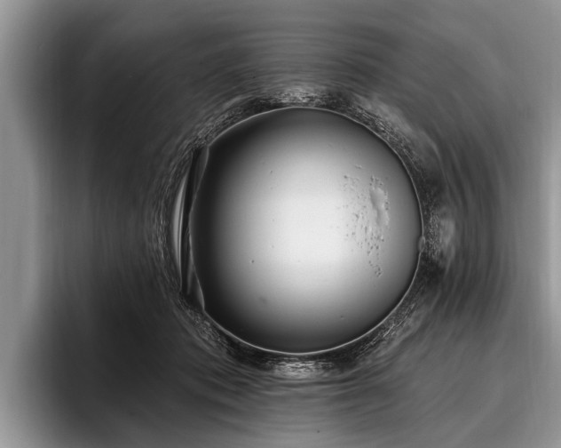 X0000096990413200802081432