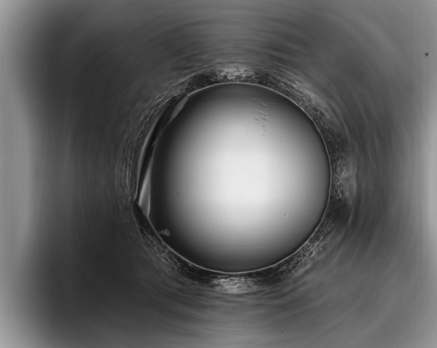 X0000096990417200802081432