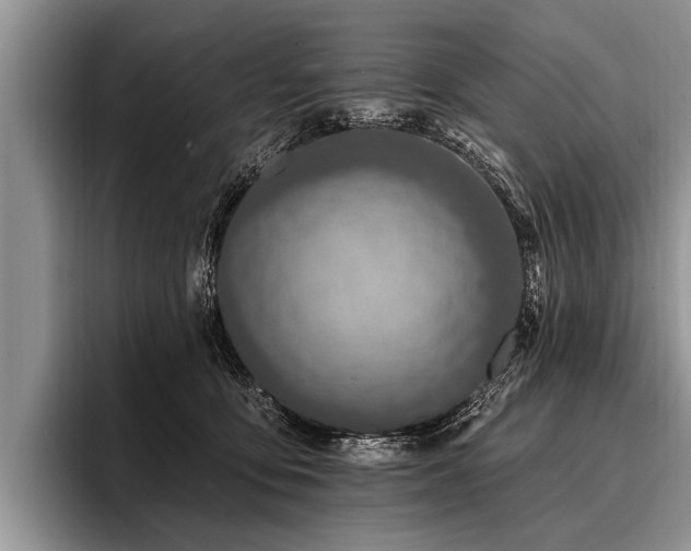 X0000096990419200802081432