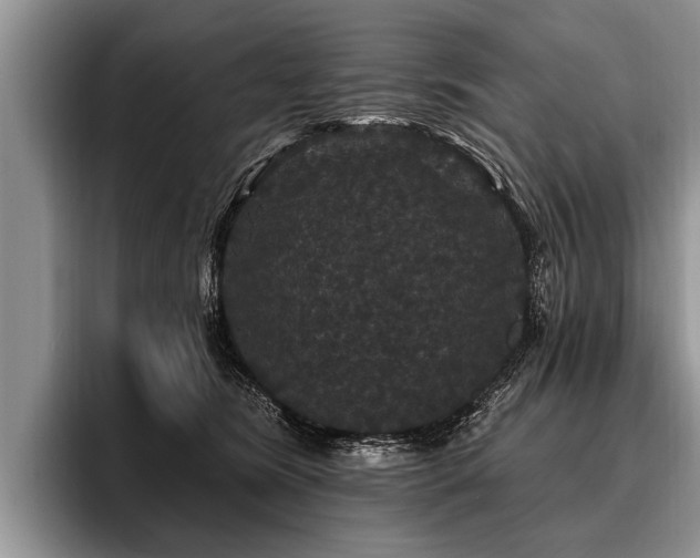 X0000096990420200802081432