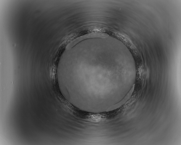 X0000096990423200802081432