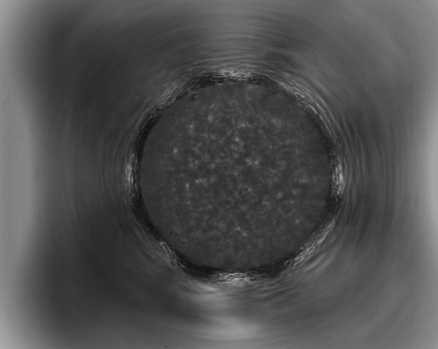 X0000096990424200802081432