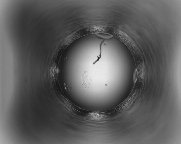 X0000096990425200802081432