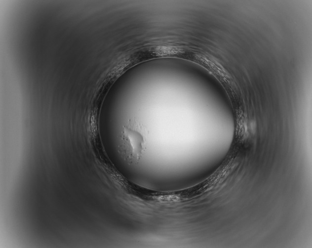 X0000096990426200802081432