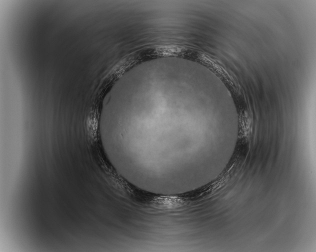 X0000096990427200802081432