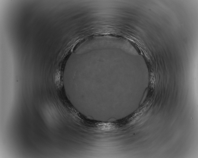 X0000096990428200802081432