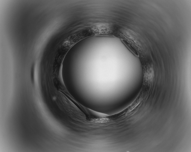 X0000096990429200802081432