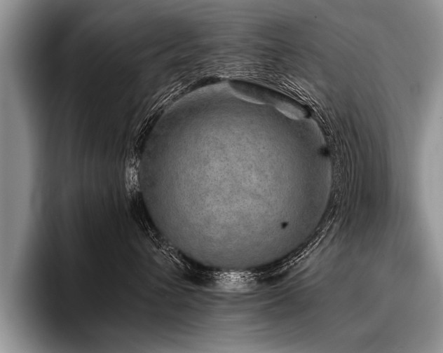 X0000096990432200802081431