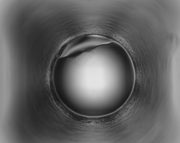 X0000096990434200802081431