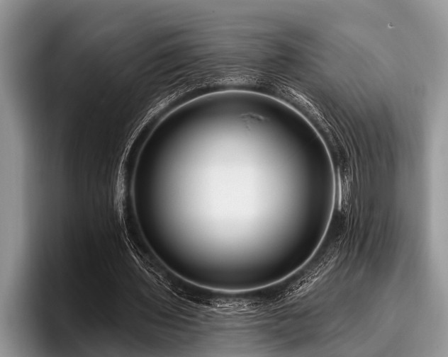 X0000096990435200802081431