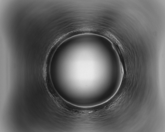X0000096990436200802081431