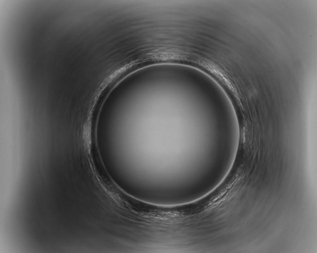 X0000096990438200802081431