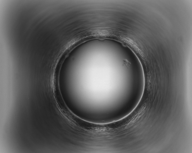 X0000096990439200802081431