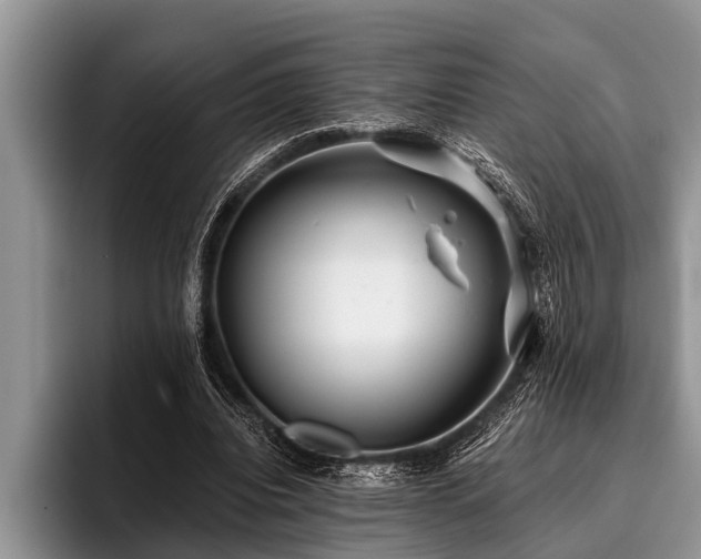 X0000096990440200802081431