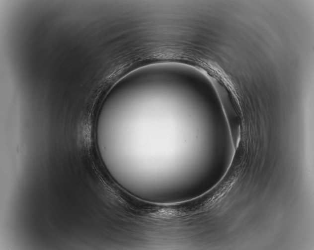 X0000096990441200802081431
