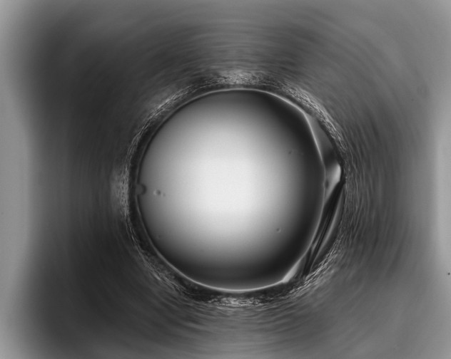 X0000096990442200802081431
