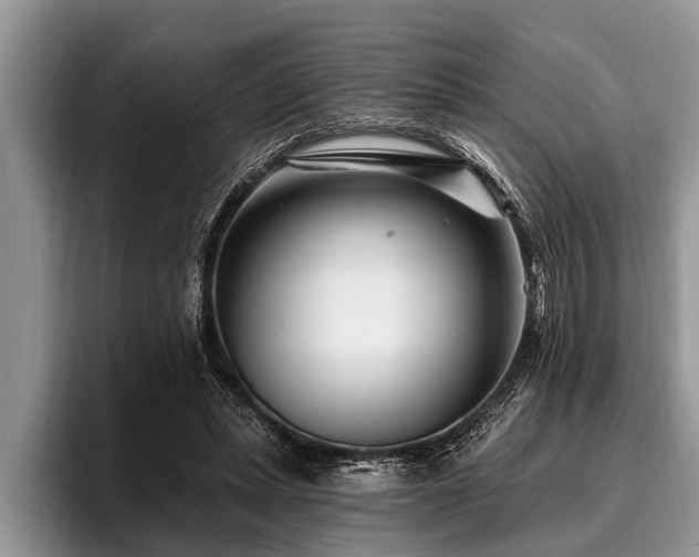 X0000096990447200802081431